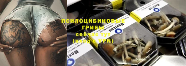 твердый Пересвет
